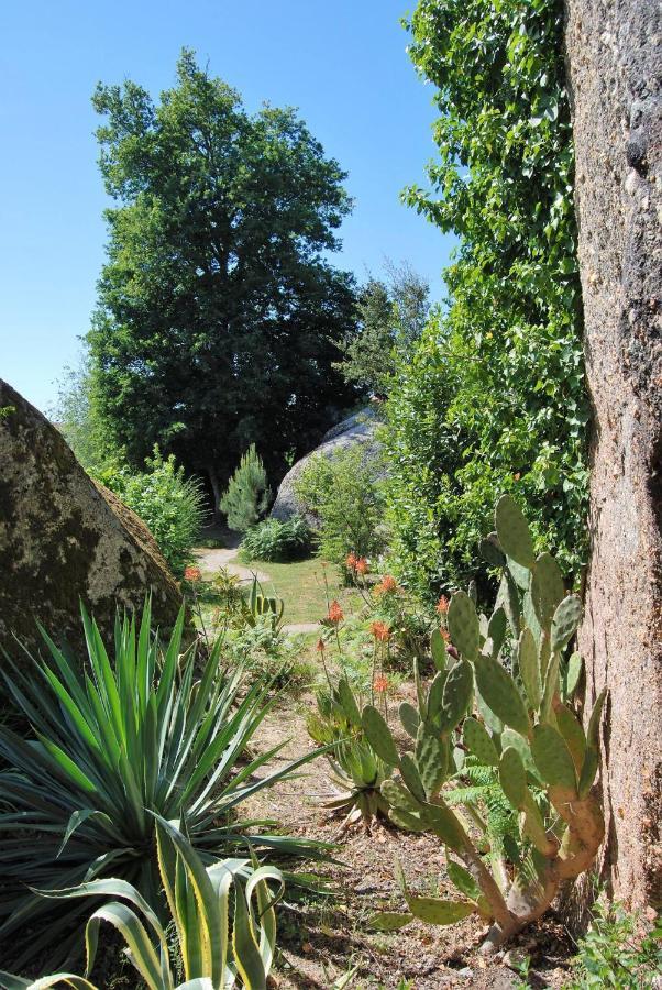 Quinta das Murteiras Povoa de Midoes Exterior foto
